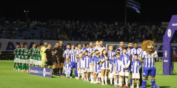 Foto: Frederico Tadeu e Fabiano Rateke  / Avaí F.C.
