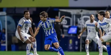 Foto: Fabiano Rateke / Avaí F.C.