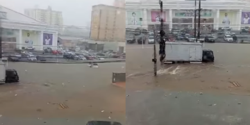 Foto: Divulgação.
