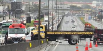 Foto: GMF - Divulgação.