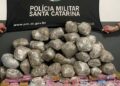Foto: Divulgação - PMSC.