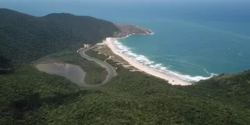Foto: Divulgação - PMF.