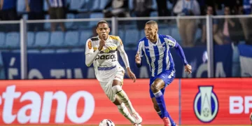 Foto: Fabiano Rateke - Avaí F.C.