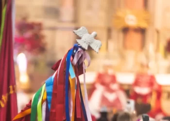 Foto: Divulgação - PMSJ.