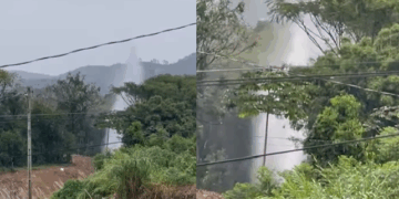 Foto: Divulgação - Agora Floripa.