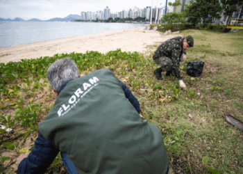 Foto: Divulgação - PMF - Agora Floripa.