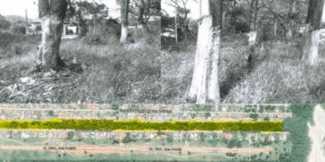 Foto: Reprodução - MPSC.