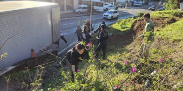 Foto: Divulgação - PMF - Agora Floripa.