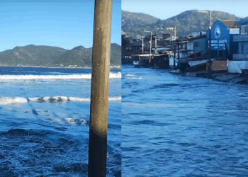 Foto: Divulgação - Agora Floripa.
