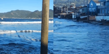 Foto: Divulgação - Agora Floripa.