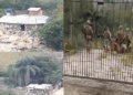 Foto: Divulgação - Agora Floripa.