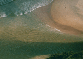 Foto: Divulgação - Pexels - Agora Floripa.
