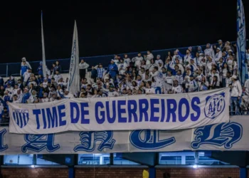 Foto: Fabiano Rateke - Avaí F.C.