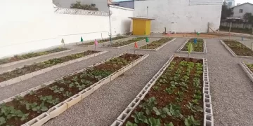 Foto: Divulgação Prefeitura de São José.
