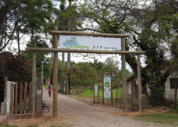 Foto: Divulgação.