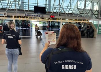 Foto: Divulgação-Cidasc.
