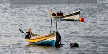 Foto: Reprodução-Cristina Gallo-Baleeiras da Ilha.