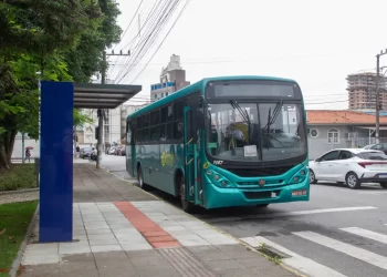 Foto: Divulgação - Prefeitura de São José.
