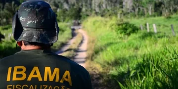 Foto: Divulgação - Ibama.