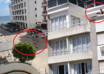 Foto: Divulgação.