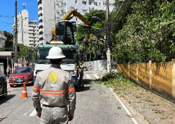 Foto: Divulgação - MPSC.