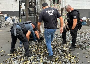 Foto: Divulgação - PMP.