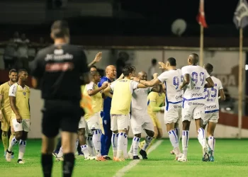 Foto: Guilherme Griebeler - Avaí F.C.