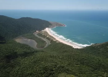 Foto: Divulgação - PMF.