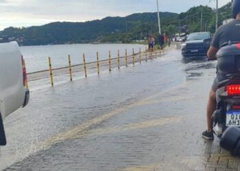 Foto: Divulgação - Ricardo Pastrana.