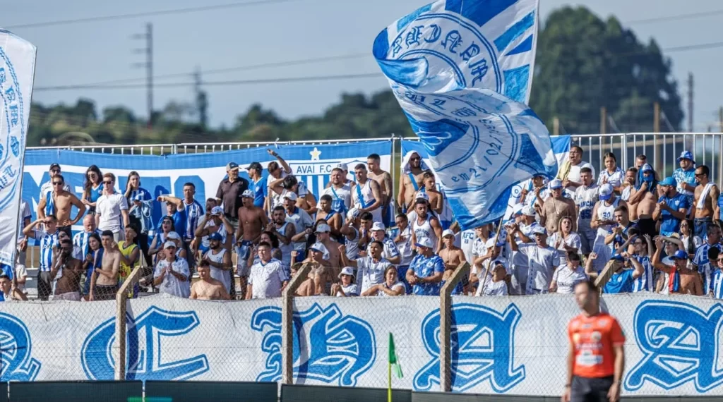 Foto: Fabiano Rateke - Avaí F.C.