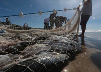 Foto: Mauricio Vieira - Arquivo - Secom.