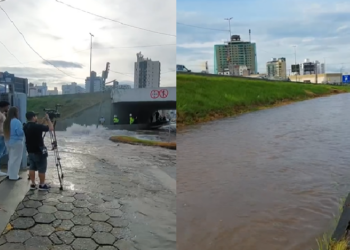 Foto: Divulgação - Agora Floripa.