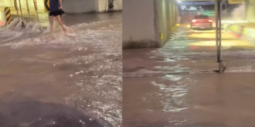 Foto: Divulgação - Agora Floripa.