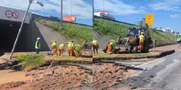Foto: Divulgação - Agora Floripa.