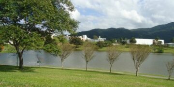 Foto: Divulgação.
