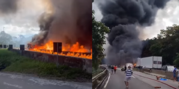 Foto: Divulgação - Agora Floripa.