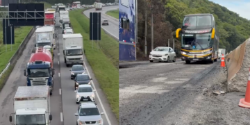 Foto: Divulgação - Agora Floripa.
