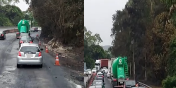 Foto: Divulgação - Ricardo Pastrana - Agora Floripa.