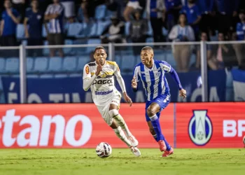 Foto: Fabiano Rateke - Avaí F.C.