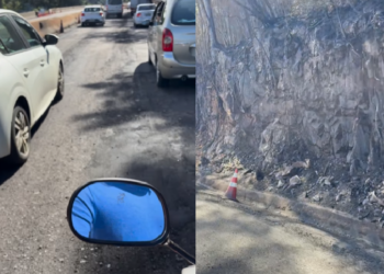 Foto: Divulgação - Agora Floripa.