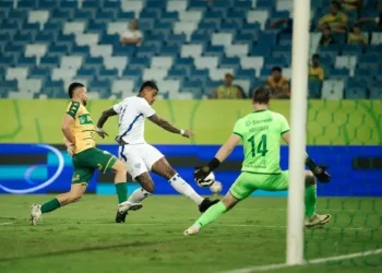 Foto: Guilherme Griebeler - Avaí F.C.