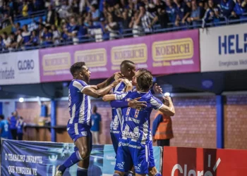 Foto: Fabiano Rateke - Avaí F.C.