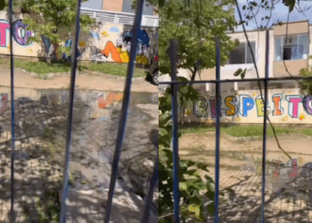 Foto: Divulgação - Agora Floripa.