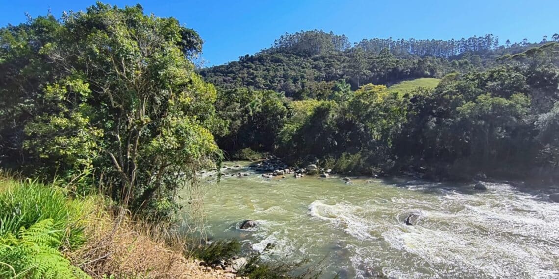 Foto: Divulgação - Semae.