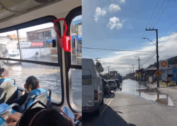 Foto: Divulgação - Agora Floripa.