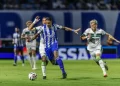 Foto: Fabiano Rateke - Avaí F.C.