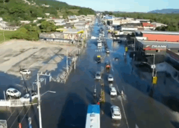 Foto: Divulgação - PMRv.