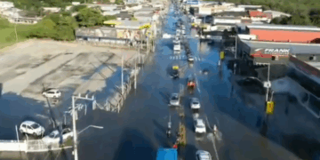 Foto: Divulgação - PMRv.