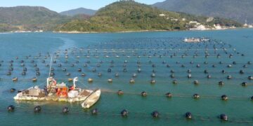 Foto: Divulgação-Epagri.