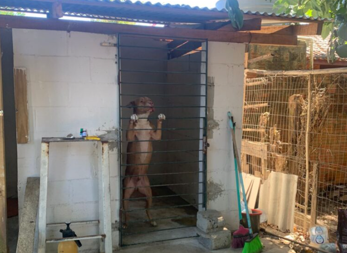 Foto: Divulgação - PCSC.